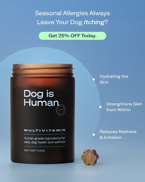 A clean, minimalist 4:5 ratio ad for a dog multivitamin, highlighting health benefits with clear bullet points and a discount offer.